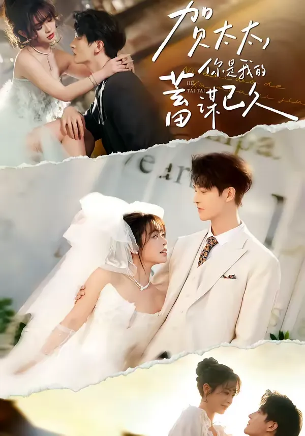 贺太太，你是我的蓄谋已久