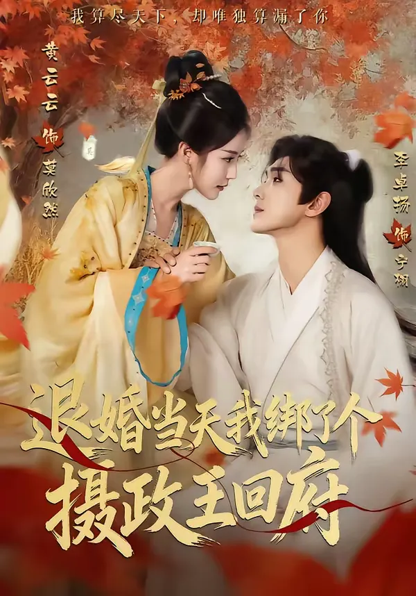 退婚当天我绑了个摄政王回府